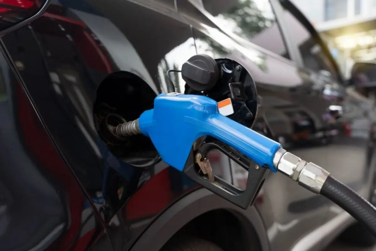 Gasolina terá 32% de etanol: entenda os impactos para o agro, consumidores e produção animal