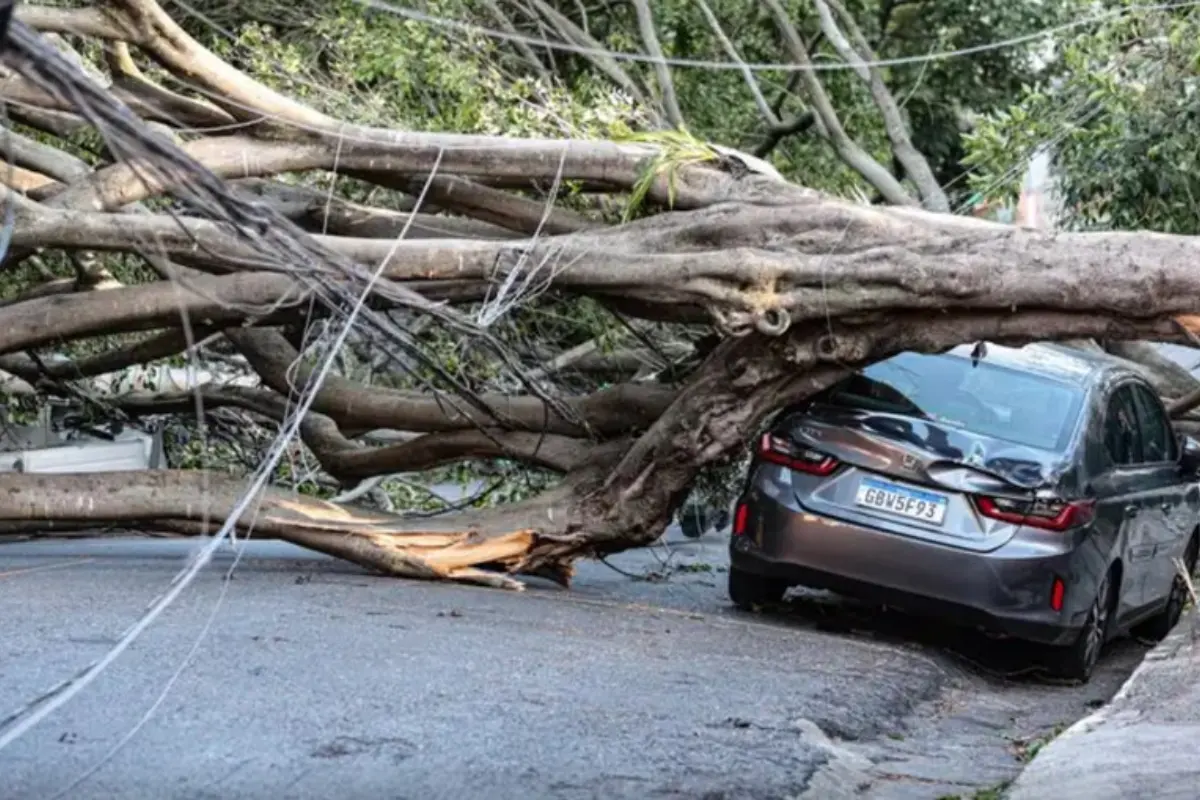 El Niño pode influenciar no preço do seguro do carro? Entenda