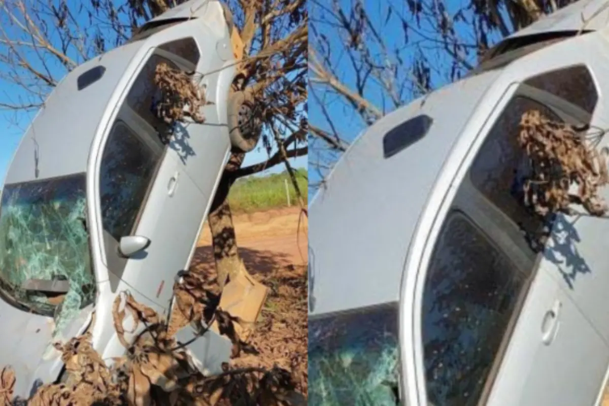 Motorista perde o controle, capota e carro fica preso em árvore na zona rural de São Miguel do Guaporé