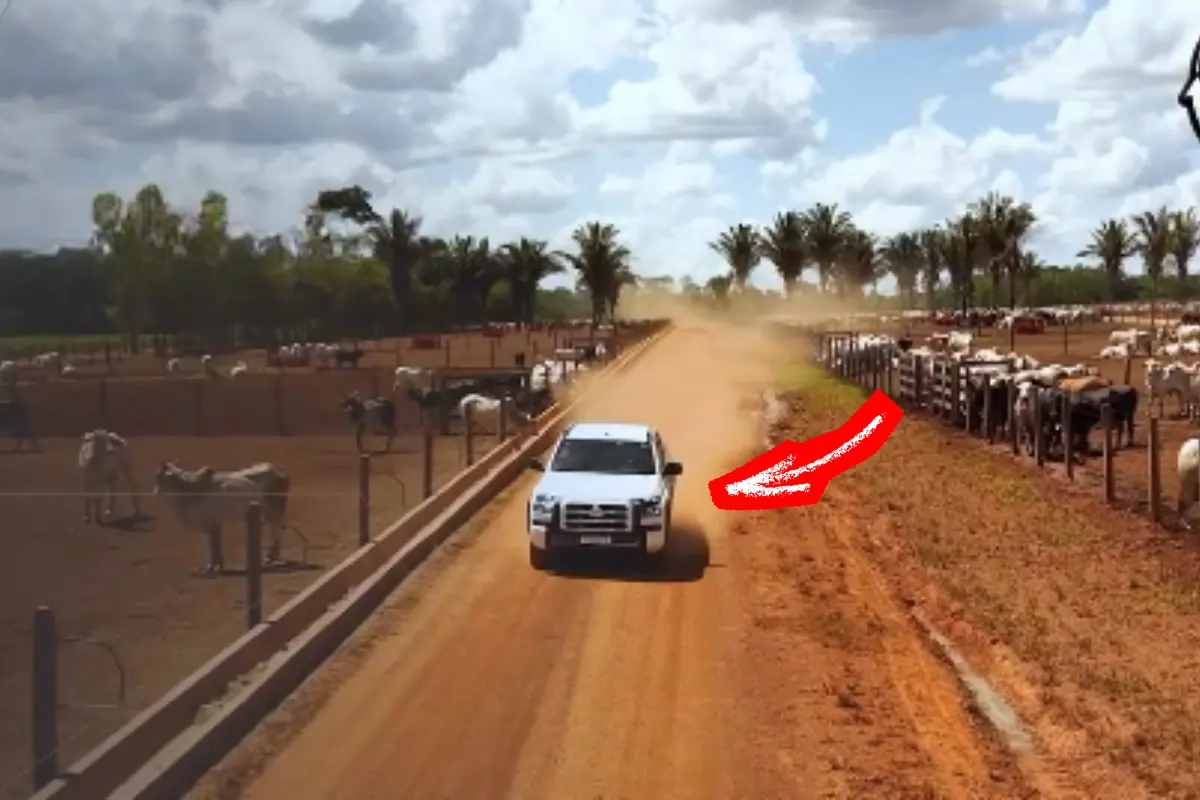 Seu rebanho pode valer mais na troca por uma Mitsubishi Triton em Rondônia