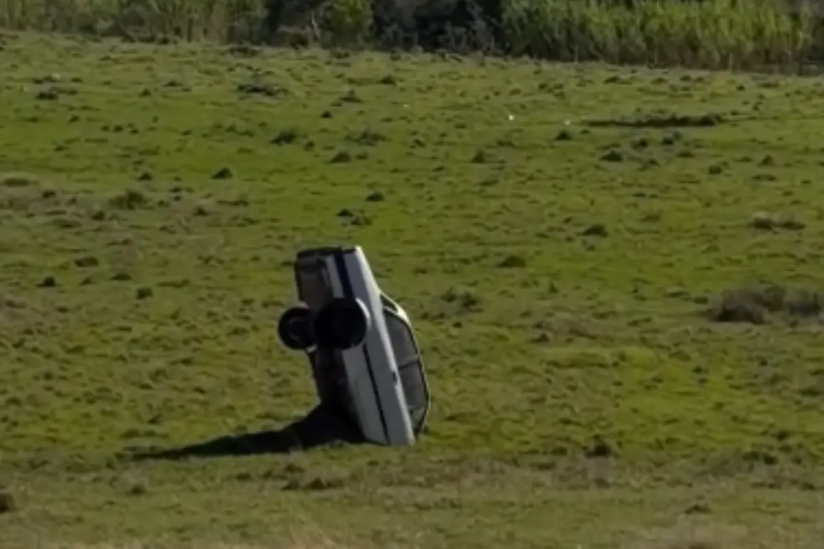 Chevette capotado no meio da mata vira “plantação” e diverte internautas