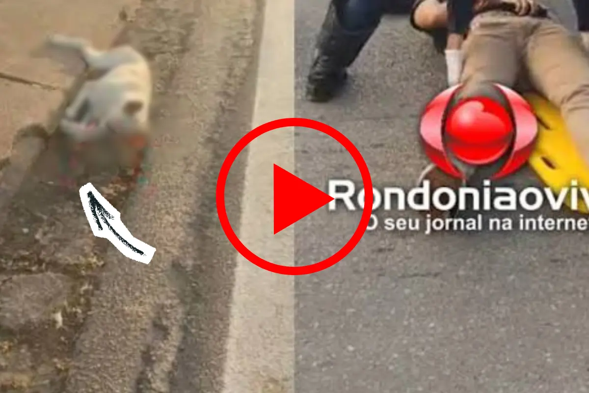 Motociclista atropela cachorro e deixa passageiro ferido em Porto Velho