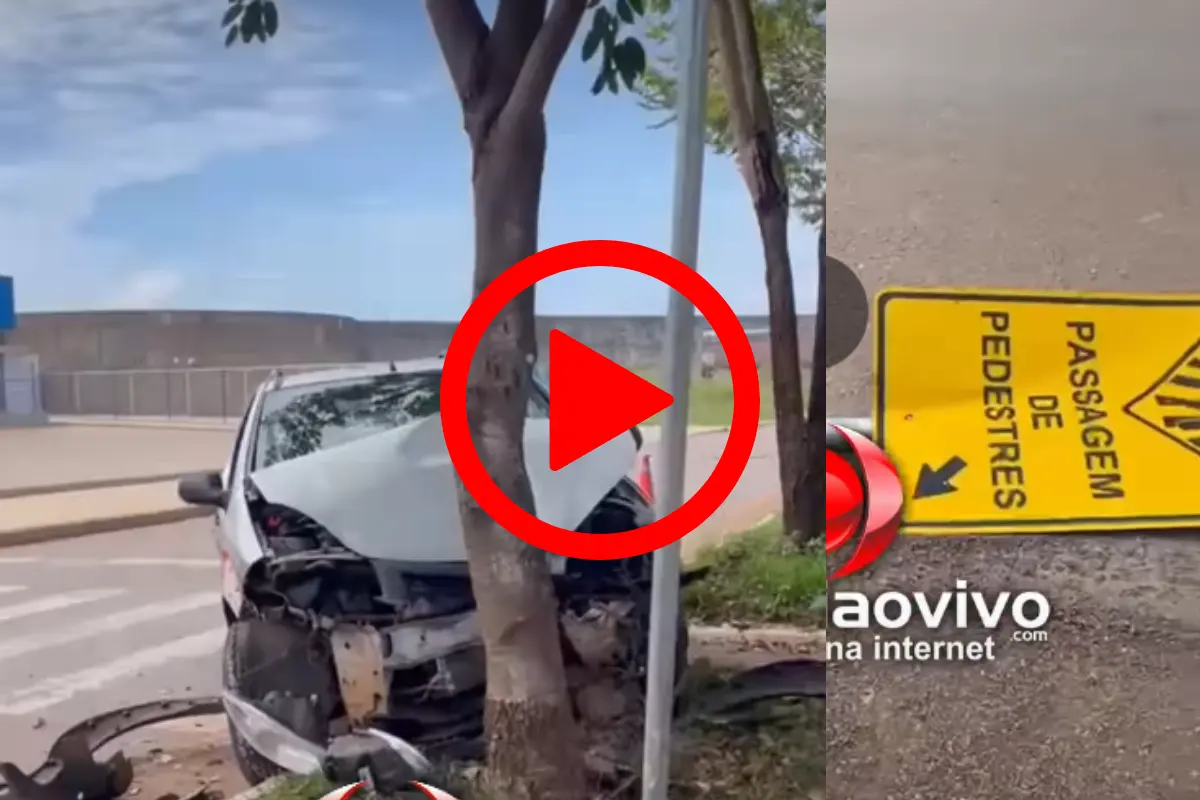 Motorista perde o controle de carro da empresa e atinge árvore na Avenida Guaporé