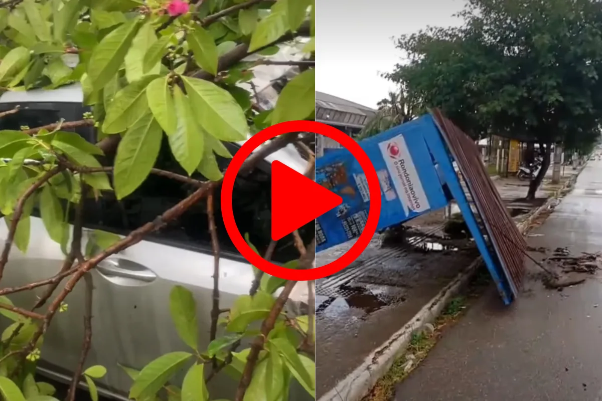 Novas imagens mostram carro atingido por árvore e parada de ônibus derrubada em Porto Velho